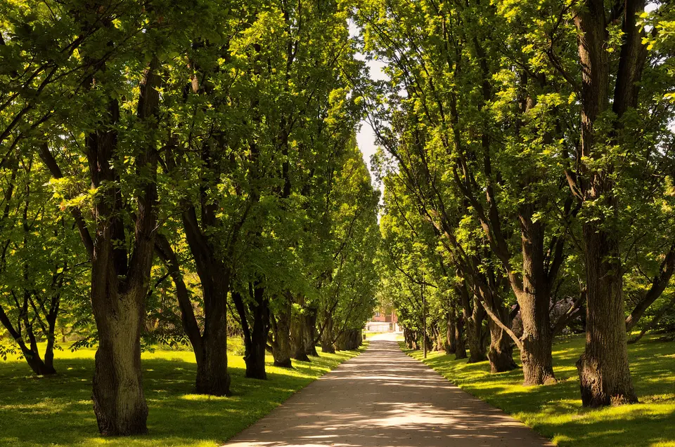 Arvora Towing: Your Local Roadside Partner in Vineyard, CA — Vineyard, CA
